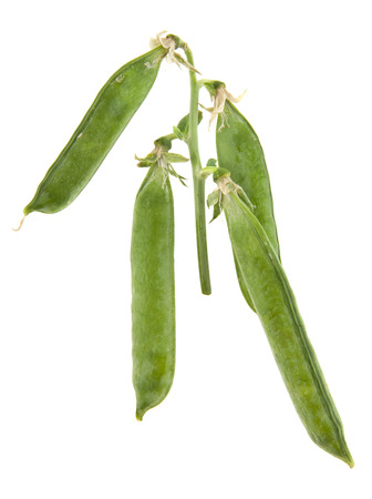peas isolated on white backgroundの写真素材