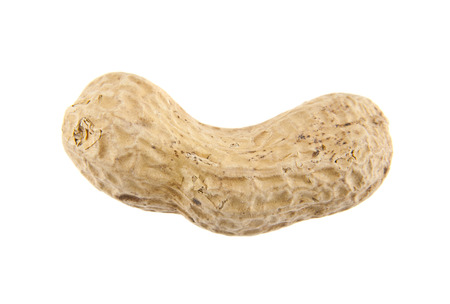 peanuts isolated on white backgroundの写真素材