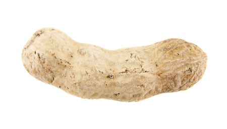 peanuts isolated on white backgroundの写真素材