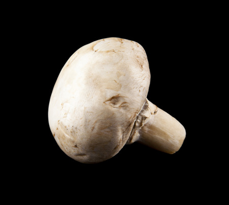 mushrooms champignons on a black backgroundの写真素材