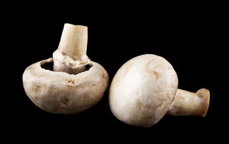 mushrooms champignons on a black backgroundの写真素材