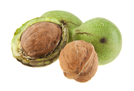 green walnuts isolated on white backgroundの写真素材