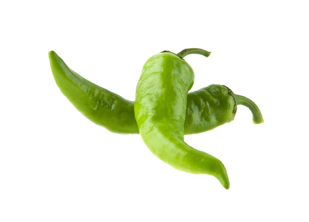 spicy green pepper isolated on white backgroundの写真素材