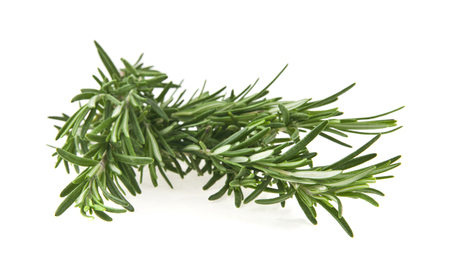 rosemary isolated on white backgroundの写真素材