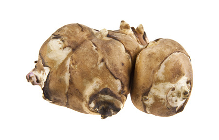 Jerusalem artichoke isolated on white backgroundの写真素材
