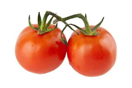 tomatoes isolated on white backgroundの写真素材