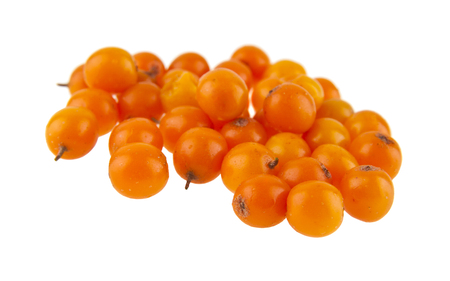 sea buckthorn isolated on white backgroundの写真素材