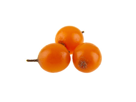 sea buckthorn isolated on white backgroundの写真素材