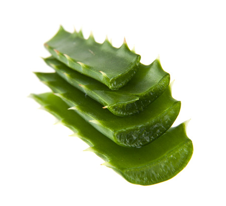 aloe isolated on white backgroundの写真素材