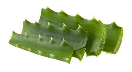 aloe isolated on white backgroundの写真素材