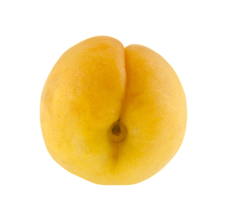 apricot isolated on white backgroundの写真素材