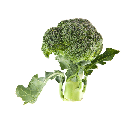 broccoli isolated on white backgroundの写真素材