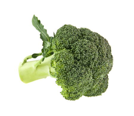 broccoli isolated on white backgroundの写真素材