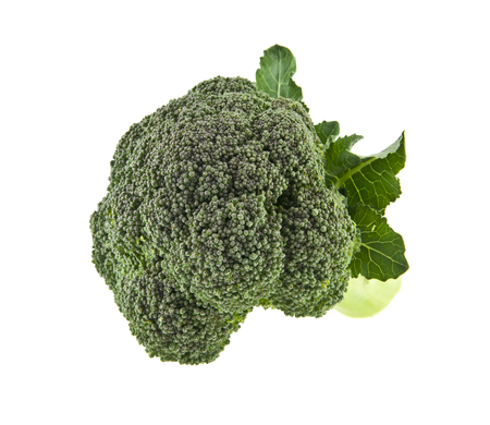 broccoli isolated on white backgroundの写真素材