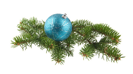 blue ball and branch of Christmas tree isolated on white backgroundの写真素材
