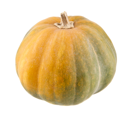 pumpkin isolated on white backgroundの写真素材