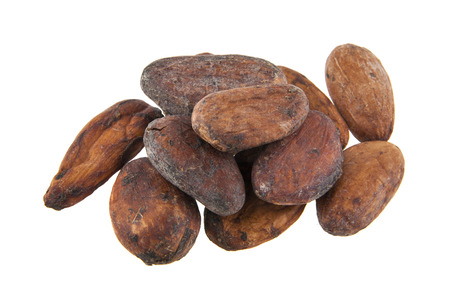 grains of cocoa isolated on white backgroundの写真素材