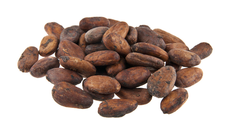 grains of cocoa isolated on white backgroundの写真素材
