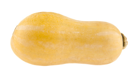 zucchini isolated on white background closeupの写真素材