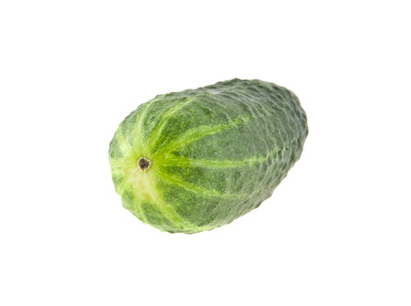 fresh green cucumber isolated on white background closeupの写真素材