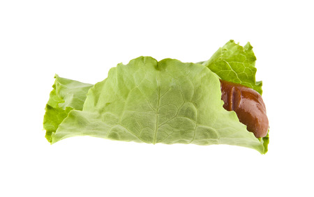 Sausage and lettuce leaf isolated on white backgroundの写真素材