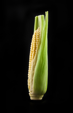 Corn on a black backgroundの写真素材
