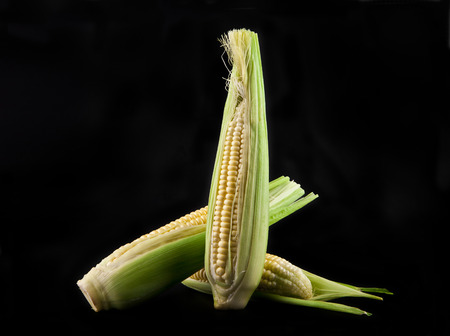 Corn on a black background