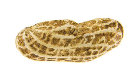 peanuts isolated on white background