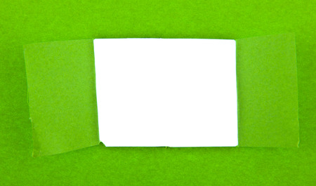 torn green paper isolated on white backgroundの写真素材