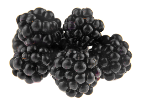 blackberries isolated on white backgroundの写真素材