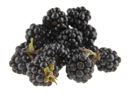 blackberries isolated on white backgroundの写真素材
