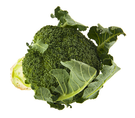 Raw green broccoli isolated on white backgroundの写真素材
