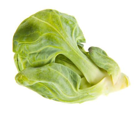 brussels sprouts isolated on white backgroundの写真素材