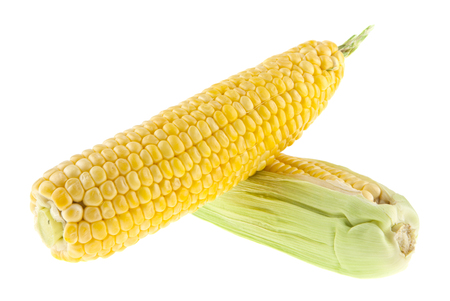 corn isolated on white backgroundの写真素材
