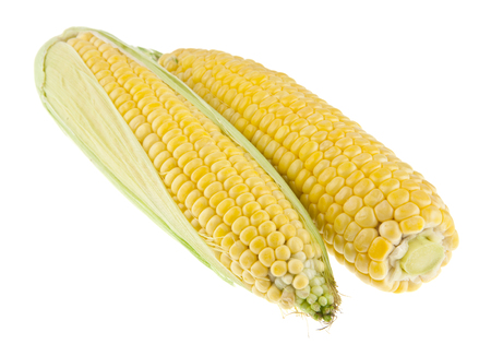 corn isolated on white backgroundの写真素材