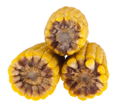 boiled corn isolated on white backgroundの写真素材