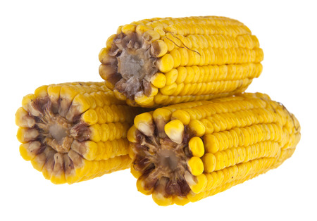 boiled corn isolated on white backgroundの写真素材