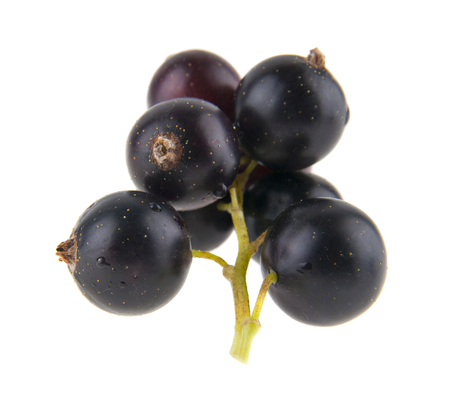 food with fresh organic currants isolated on white backgroundの写真素材