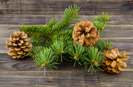 Christmas tree branch and cones on a wooden backgroundの写真素材