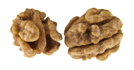 walnut kernels isolated on white backgroundの写真素材