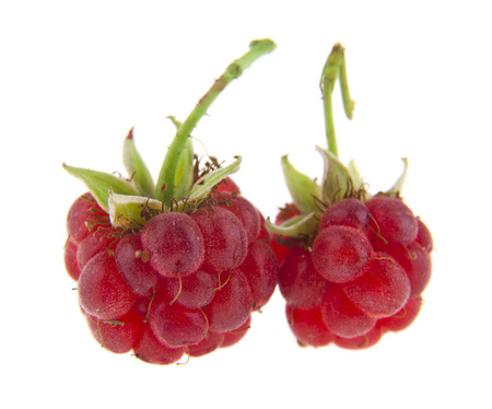 food with fresh organic red raspberries isolated on white backgroundの写真素材