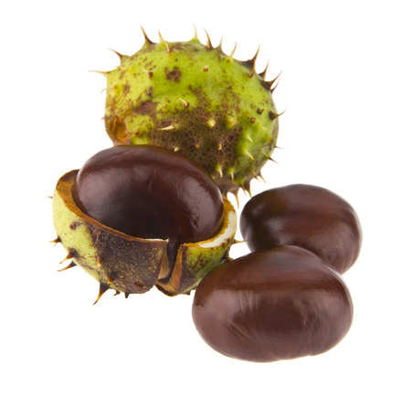 Chestnuts isolated on whiteの写真素材