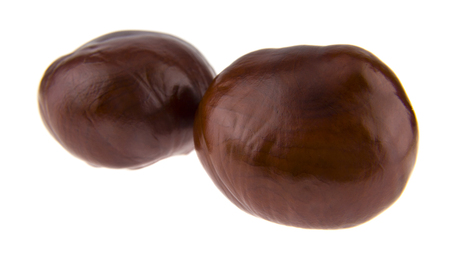 Chestnuts isolated on whiteの写真素材
