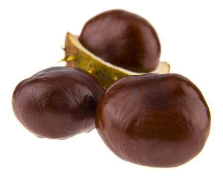 Chestnuts  isolated on whiteの写真素材