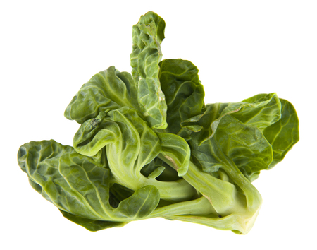 Brussels sprouts isolated on whiteの写真素材