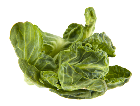 Brussels sprouts isolated on whiteの写真素材