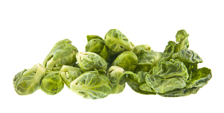 brussels sprouts isolated on white backgroundの写真素材