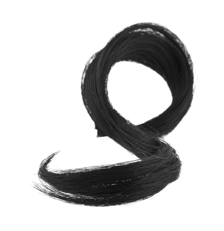 Curl of black hair isolated on whiteの写真素材