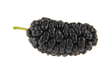 Mulberries isolated on whiteの写真素材