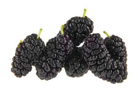 Mulberries isolated on whiteの写真素材